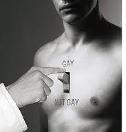 gay notgay